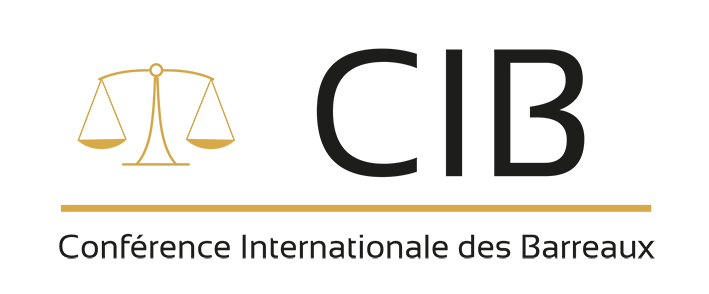 LogoCIN CIB - America Lawyers
